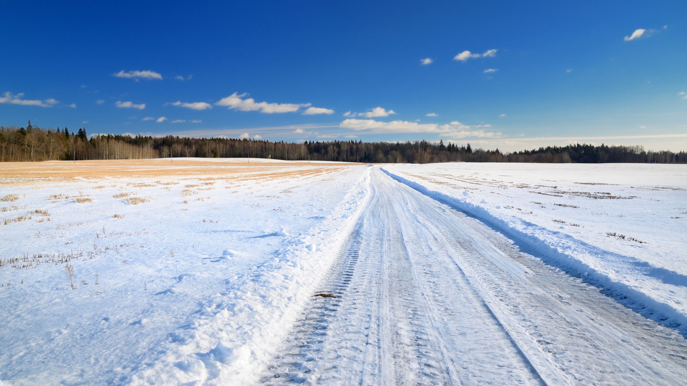 Comment conduire en toute sécurité pendant la saison des Fêtes